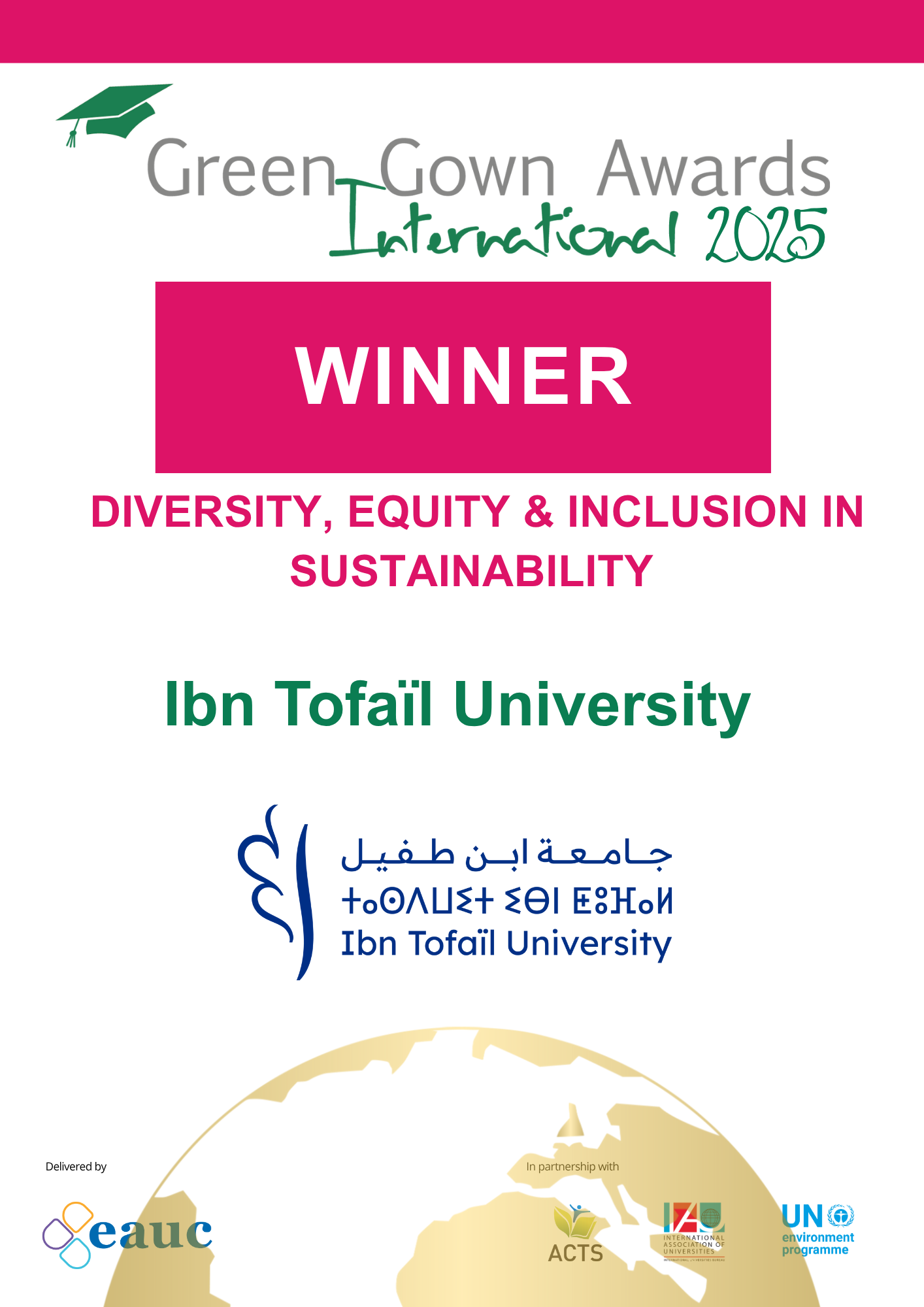 Diversity Equity and Inclusion winner badge